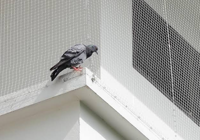 Pigeon spikes fitted on AC outdoor unit