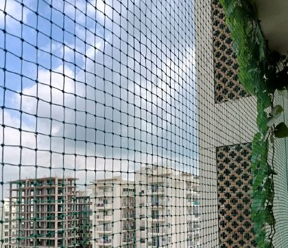 Pigeon bird net fitted around building openings