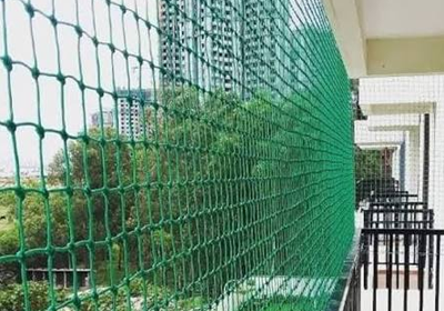 Bird spikes installed on a building ledge in Gurugram