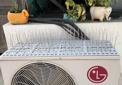 AC outdoor unit bird protection installation