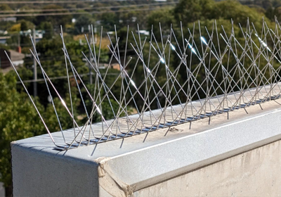 Bird spikes installation on ledges and parapets in Gurgaon